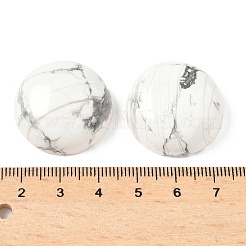 Natural Howlite Cabochons&nbsp;G-C189-04A