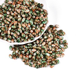 Spray Painted Glass Seed Beads&nbsp;SEED-T007-14F