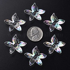 Transparent Acrylic Beads&nbsp;MACR-S373-102-C07
