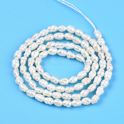 Natural Cultured Freshwater Pearl Beads Strands&nbsp;PEAR-N012-02X