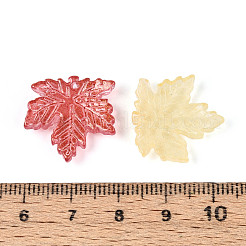 Baking Paint Transparent Glass Pendants&nbsp;DGLA-N014-11