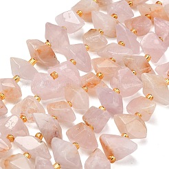 Natural Rose Quartz Beads Strands&nbsp;G-F833-T01-01