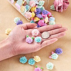 Opaque Resin Cabochon&nbsp;CRES-PJ0001-01
