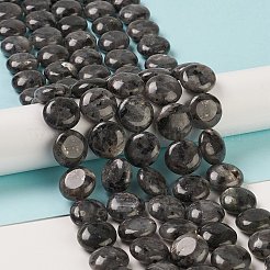 Natural Larvikite Beads Strands&nbsp;G-M403-C09-02