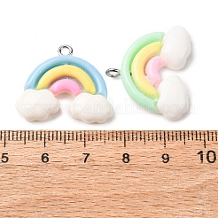 Opaque Resin Pendants&nbsp;RESI-K048-05