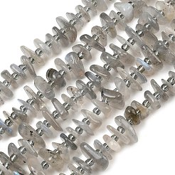Natural Labradorite Beads Strands&nbsp;GG-CBA3A44-B07-01