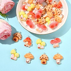 30Pcs 5 Styles Resin Pendants&nbsp;RESI-CJ0005-20