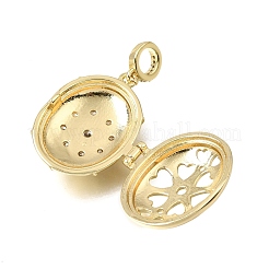 Brass Micro Pave Clear Cubic Zirconia Diffuser Locket Pendants&nbsp;KK-A303-28B-G