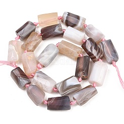 Natural Botswana Agate Beads Strands&nbsp;G-A314-A01-01