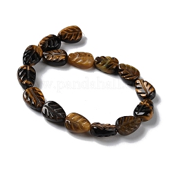 Natural Tiger Eye Beads Strands&nbsp;G-M418-A06-01