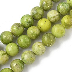 Dyed Natural Dolomite Beads Strands&nbsp;G-D337-8mm-D04
