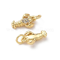 Brass Micro Pave Cubic Zirconia Charms&nbsp;KK-D502-26M-G