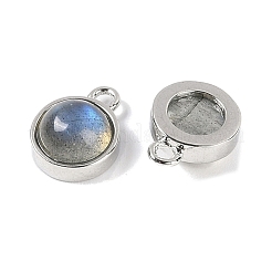 Natural Labradorite Pendants&nbsp;G-K372-03P-08