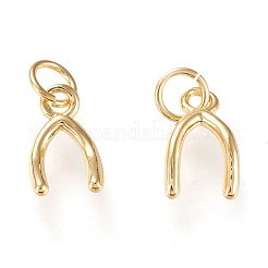 Brass Charms&nbsp;KK-K250-03G