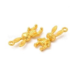 Rack Plating Alloy Pendants&nbsp;PALLOY-F287-14MG