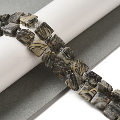 Natural Map Stone Beads Strands&nbsp;G-L596-A03-01