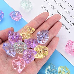 Transparent Acrylic Beads&nbsp;MACR-S373-74-B