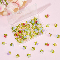 100Pcs 10 Colors Handmade Transparent Lampwork & Acrylic Pendants&nbsp;OACR-BM0001-04