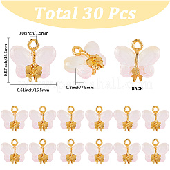 30Pcs Glass Pendants&nbsp;GLAA-SC0002-59A