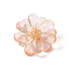 Transparent Glass Pendants&nbsp;PALLOY-MZ00723-09