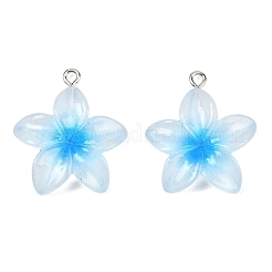 Transparent Resin Pendants&nbsp;RESI-P048-01P