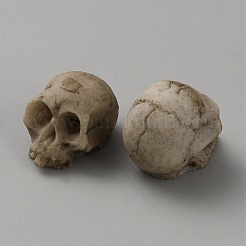 Halloween Resin Skull Display Decoration&nbsp;DJEW-WH20001-02