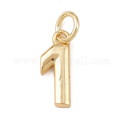 Brass Charms&nbsp;KK-G544-10G