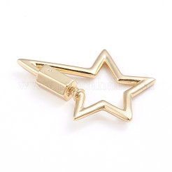 Brass Screw Carabiner Lock Charms&nbsp;X-ZIRC-I041-02G