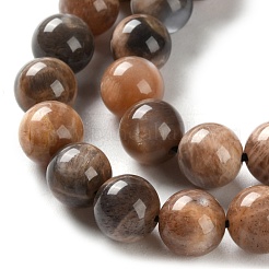 Natural Black Sunstone Beads Strands&nbsp;G-U009-A01-04