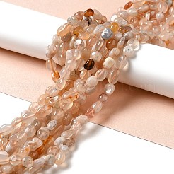 Natural Cherry Blossom Agate Beads Strands&nbsp;G-I351-B07