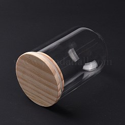Glass Dome Cover&nbsp;DJEW-E009-01