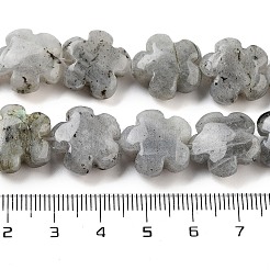 Natural Labradorite Beads Strands&nbsp;G-F769-P01-01