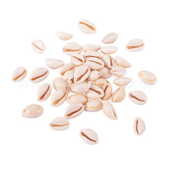 Natural Cowrie Shell Beads&nbsp;BSHE-TA0001-01