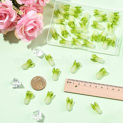 36Pcs Handmade Lampwork Beads&nbsp;LAMP-FS0001-74