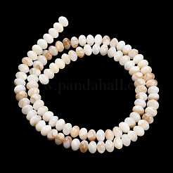 Natural Freshwater Shell Beads Strands&nbsp;SHEL-C010-04A-01