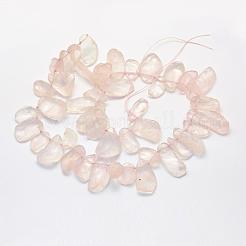 Natural Rose Quartz Strands&nbsp;G-K202-16