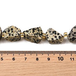 Raw Rough Natural Dalmatian Jasper Beads Strands&nbsp;G-Z087-A01