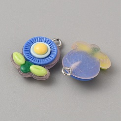 Translucent Resin Pendants&nbsp;RESI-TAC0019-08E