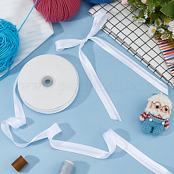 Polyester Ribbon&nbsp;OCOR-WH0105-209A