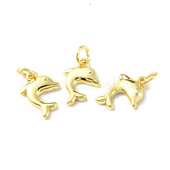 Rack Plating Brass Charms&nbsp;KK-F852-03G