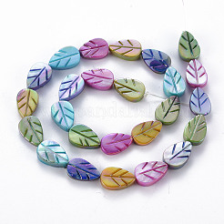Electroplated Natural Freshwater Shell Beads Strands&nbsp;SHEL-N026-166A-01