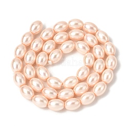 Electroplated Shell Pearl Beads Strands&nbsp;BSHE-B008-07B