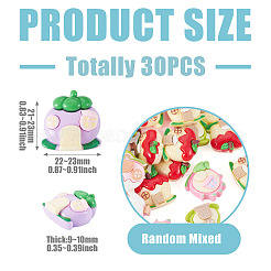 30Pcs Fruit Opaque Resin Decoden Cabochons&nbsp;RESI-TADJ0001-21