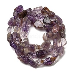 Natural Purple Phantom Quartz Purple Lodolite Quartz Beads Strands&nbsp;X-G-E483-69