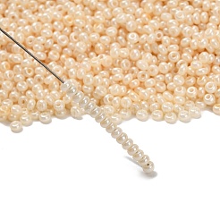 FGB 12/0 Grade A Round Glass Seed Beads&nbsp;SEED-R008-142