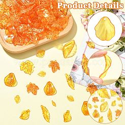 50G Transparent Acrylic Pendants&nbsp;TACR-CJC0005-05