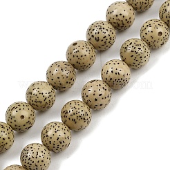 Natural Rudraksha Bodhi Seed Beads Strand&nbsp;WOOD-B010-C03-9mm