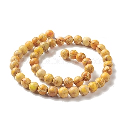 Natural Imperial Jasper Beads Strands&nbsp;G-I122-8mm-23