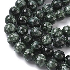 Natural Seraphinite Beads Strands&nbsp;G-C270-O01-11