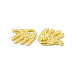 Rack Plating Alloy Charms&nbsp;FIND-G045-50MG